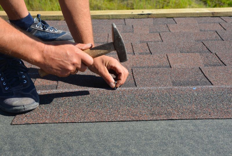 Professional Roof Repair