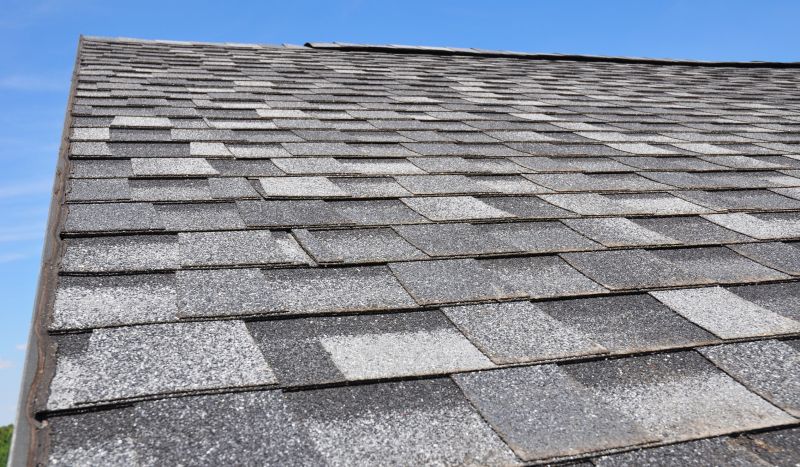 Experienced Roof Repair Specialist